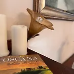 Tra Dei Marmi E Marina Di - Il Melograno 마사