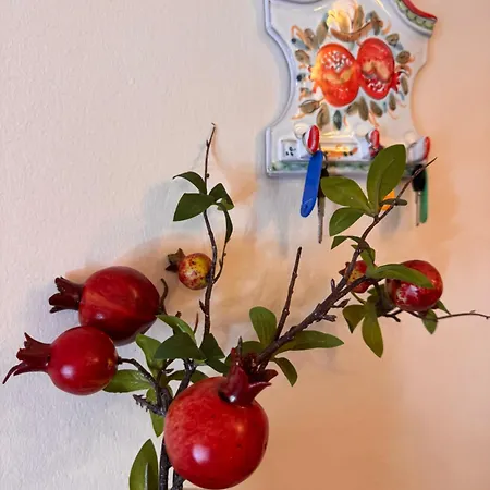 아파트 Tra Dei Marmi E Marina Di - Il Melograno *